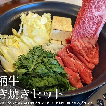 하코네 和光荘 Harmonious Light West 빌라 외부 사진
